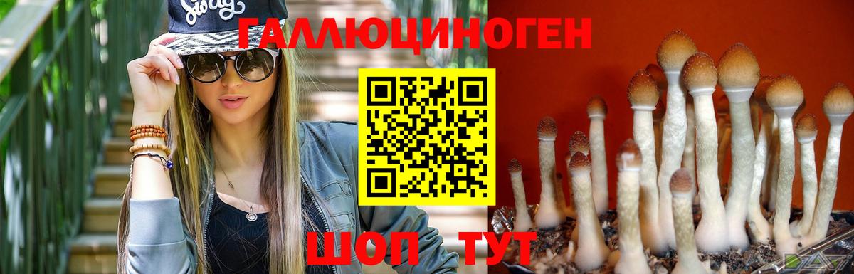 Псилоцибиновые грибы мицелий Верхняя Салда